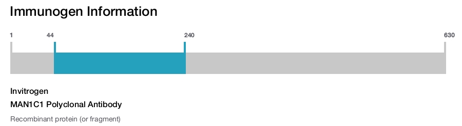 MAN1C1 Polyclonal Antibody