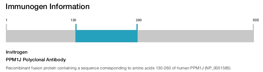PPM1J Polyclonal Antibody
