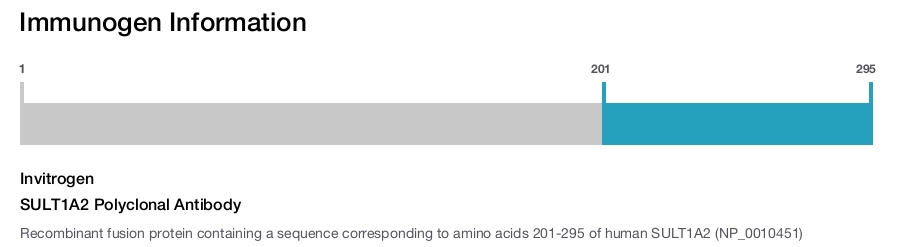 SULT1A2 Polyclonal Antibody