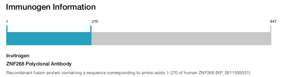 ZNF268 Polyclonal Antibody