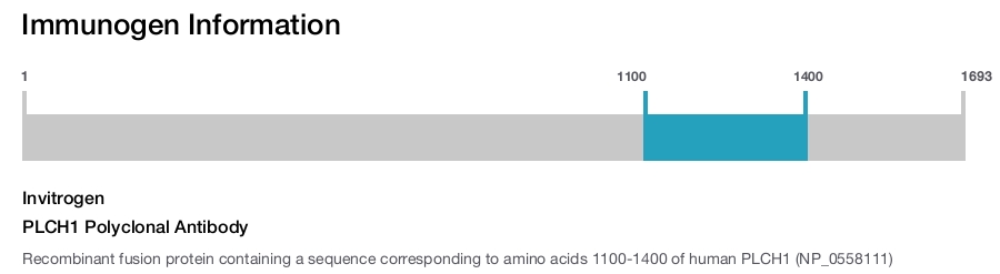 PLCH1 Polyclonal Antibody