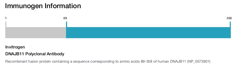 DNAJB11 Polyclonal Antibody