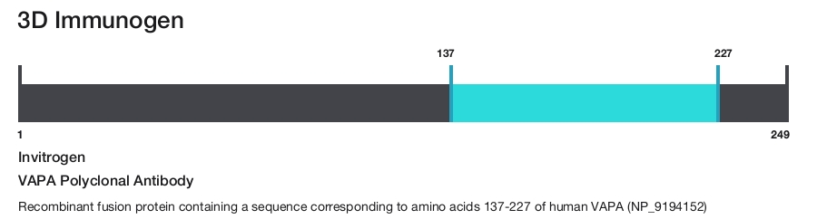 VAPA Polyclonal Antibody