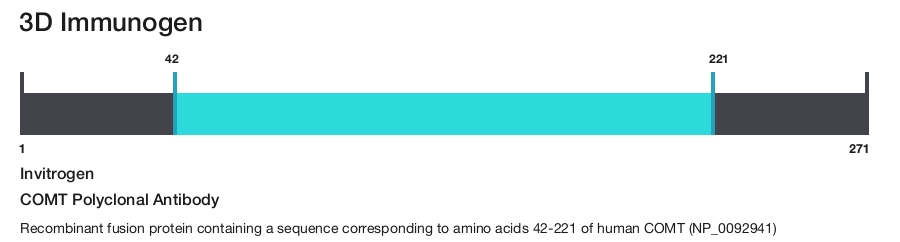 COMT Polyclonal Antibody
