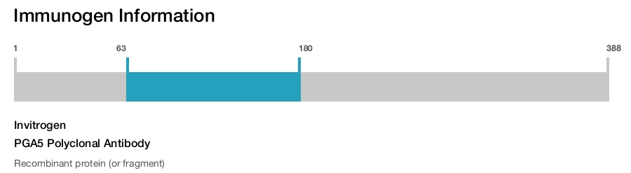 PGA5 Polyclonal Antibody