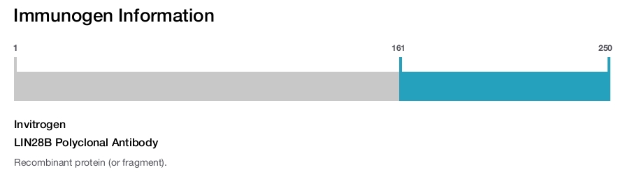 LIN28B Polyclonal Antibody
