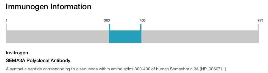 SEMA3A Polyclonal Antibody