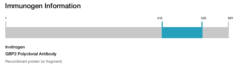 GBP2 Polyclonal Antibody