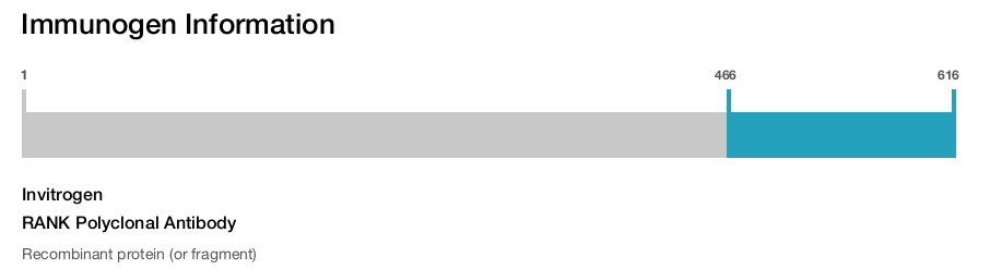 RANK Polyclonal Antibody