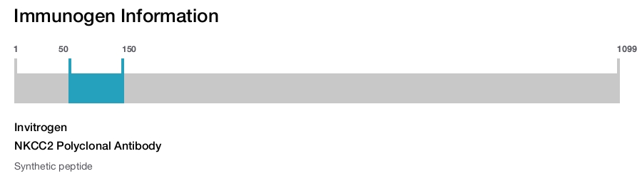 NKCC2 Polyclonal Antibody