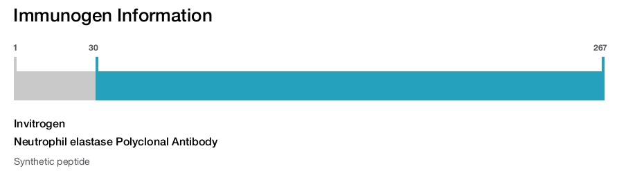Neutrophil elastase Polyclonal Antibody
