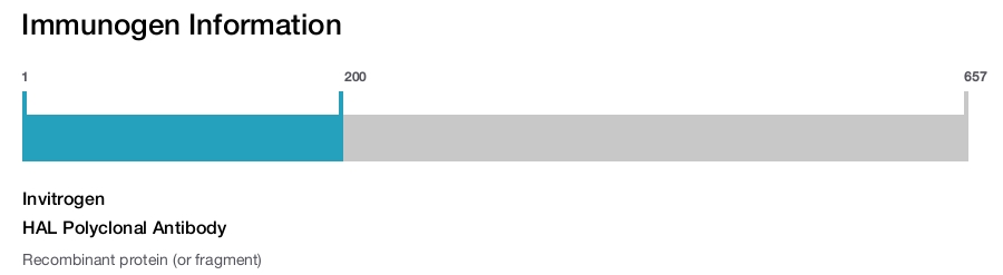 HAL Polyclonal Antibody