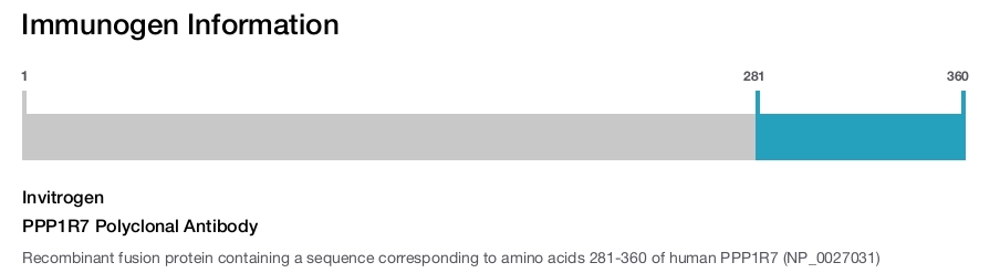 PPP1R7 Polyclonal Antibody