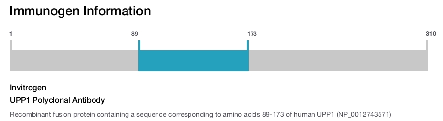 UPP1 Polyclonal Antibody