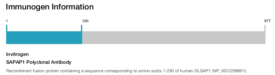 SAPAP1 Polyclonal Antibody