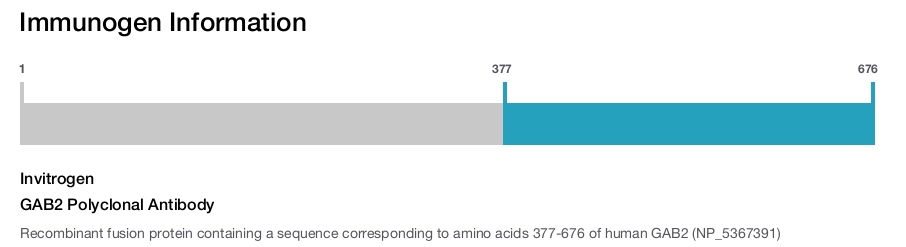GAB2 Polyclonal Antibody