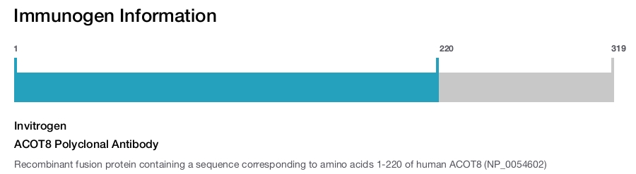 ACOT8 Polyclonal Antibody