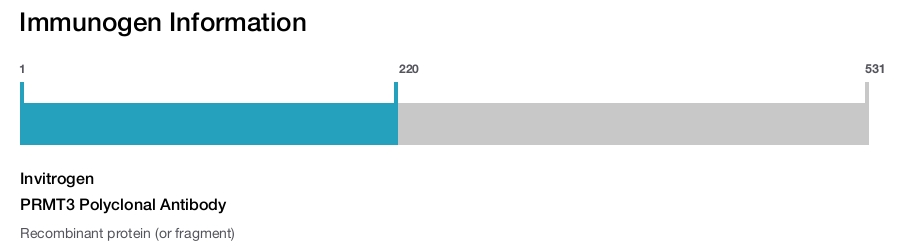 PRMT3 Polyclonal Antibody