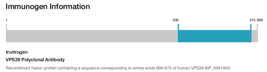VPS39 Polyclonal Antibody