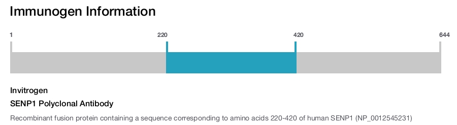 SENP1 Polyclonal Antibody