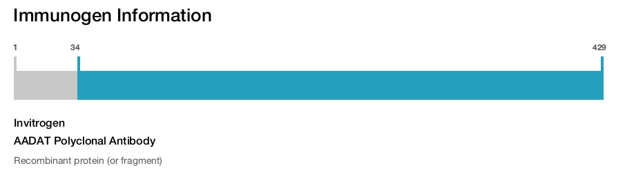 AADAT Polyclonal Antibody