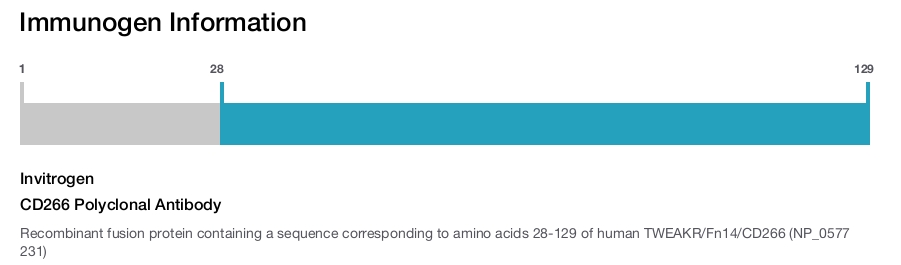 CD266 Polyclonal Antibody