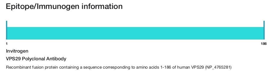 VPS29 Polyclonal Antibody