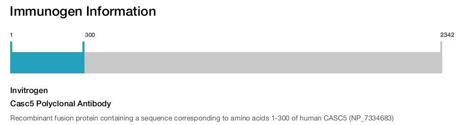 Casc5 Polyclonal Antibody