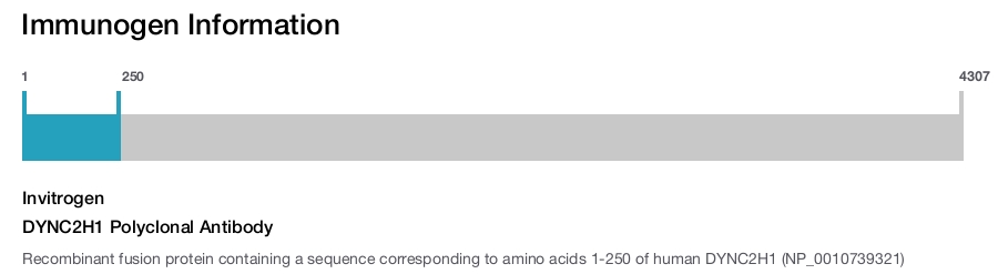 DYNC2H1 Polyclonal Antibody