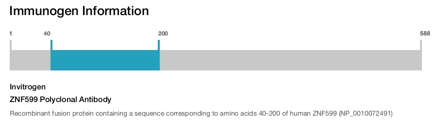 ZNF599 Polyclonal Antibody