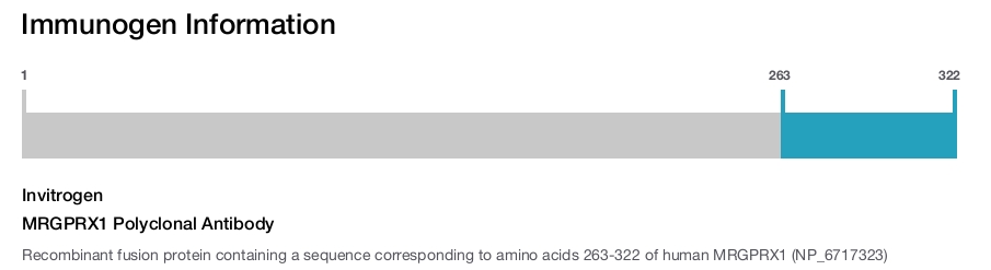 MRGPRX1 Polyclonal Antibody