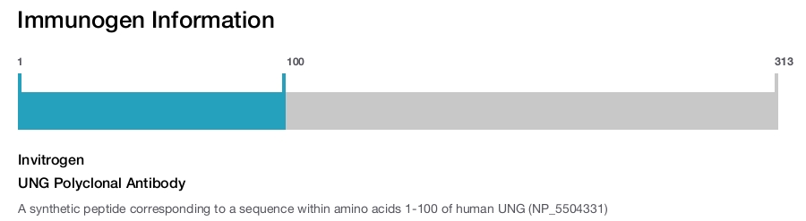 UNG Polyclonal Antibody
