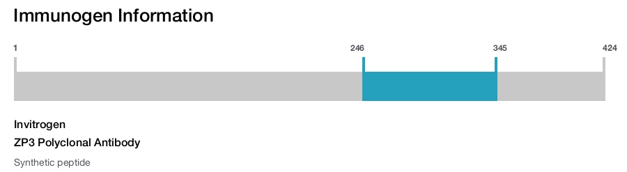 ZP3 Polyclonal Antibody