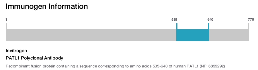 PATL1 Polyclonal Antibody