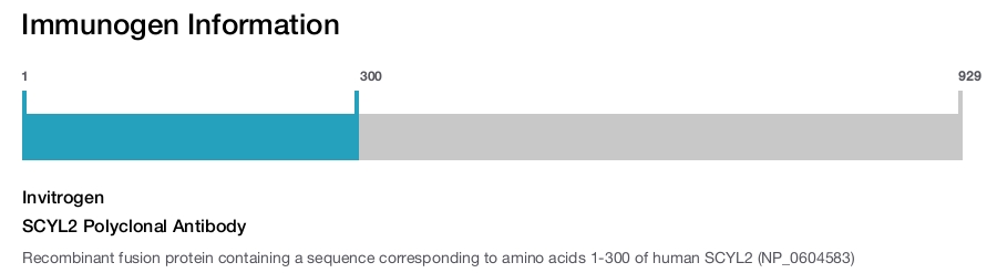 SCYL2 Polyclonal Antibody