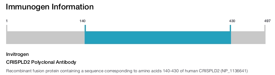 CRISPLD2 Polyclonal Antibody