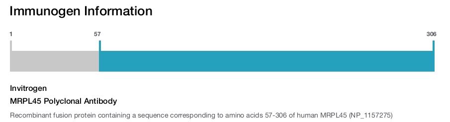 MRPL45 Polyclonal Antibody