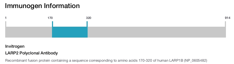 LARP2 Polyclonal Antibody