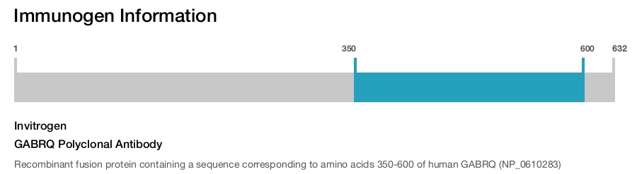 GABRQ Polyclonal Antibody