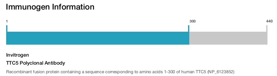 TTC5 Polyclonal Antibody