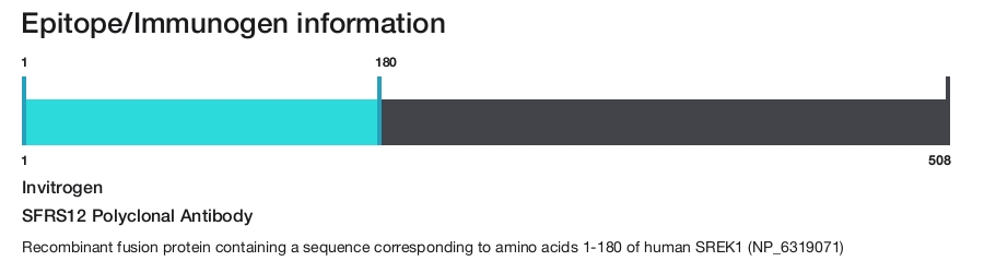 SFRS12 Polyclonal Antibody