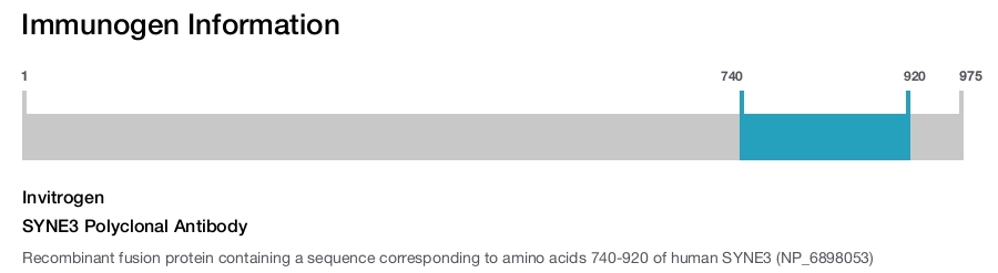 SYNE3 Polyclonal Antibody