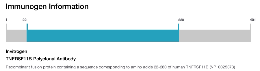 TNFRSF11B Polyclonal Antibody