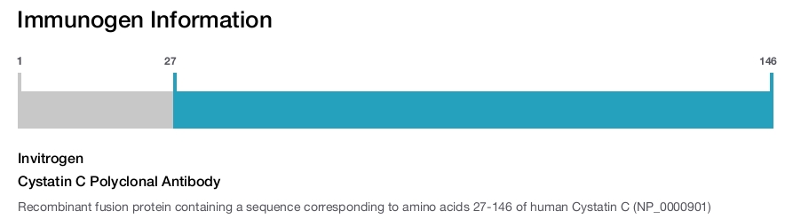 Cystatin C Polyclonal Antibody