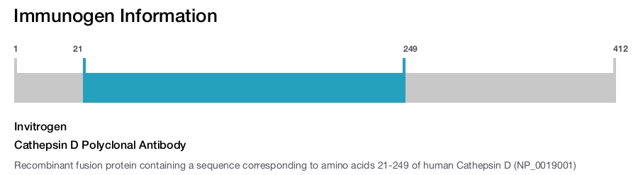 Cathepsin D Polyclonal Antibody