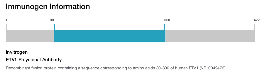 ETV1 Polyclonal Antibody