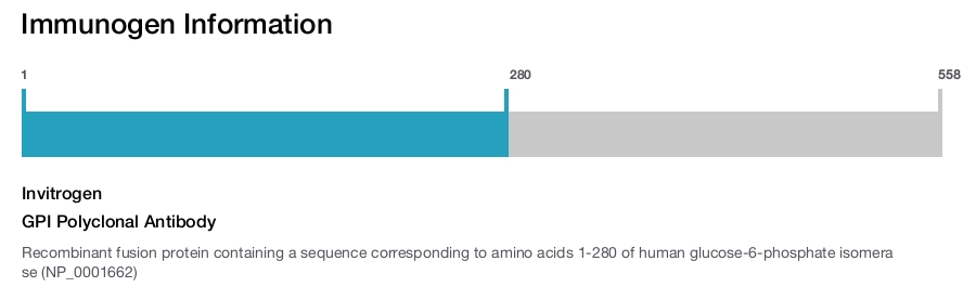 GPI Polyclonal Antibody