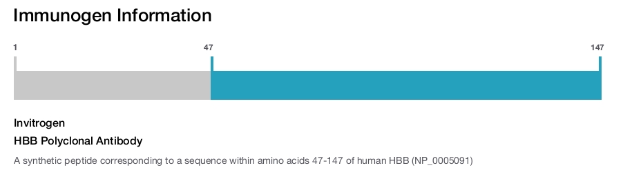 HBB Polyclonal Antibody