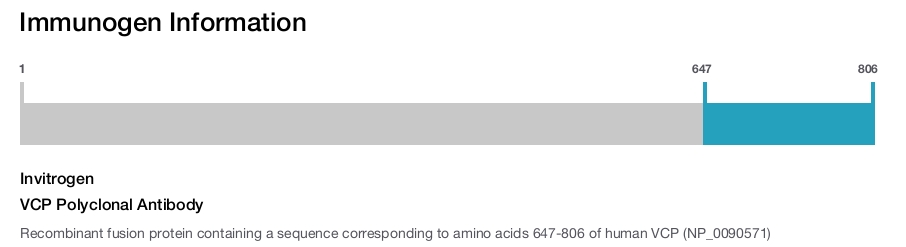 VCP Polyclonal Antibody