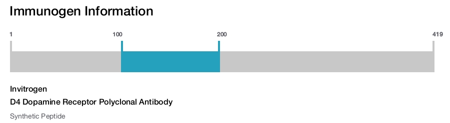 D4 Dopamine Receptor Polyclonal Antibody